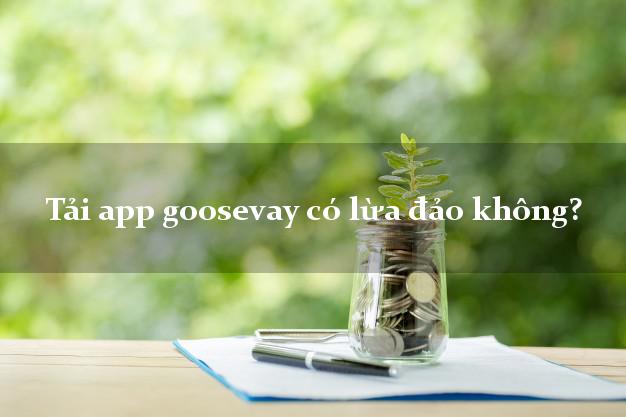 Tải app goosevay có lừa đảo không?