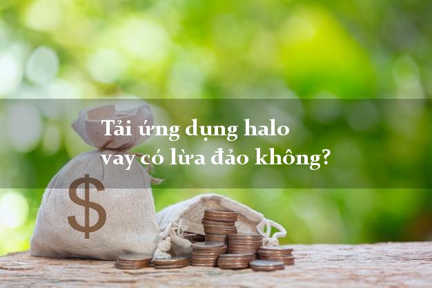 Tải ứng dụng halo vay có lừa đảo không?
